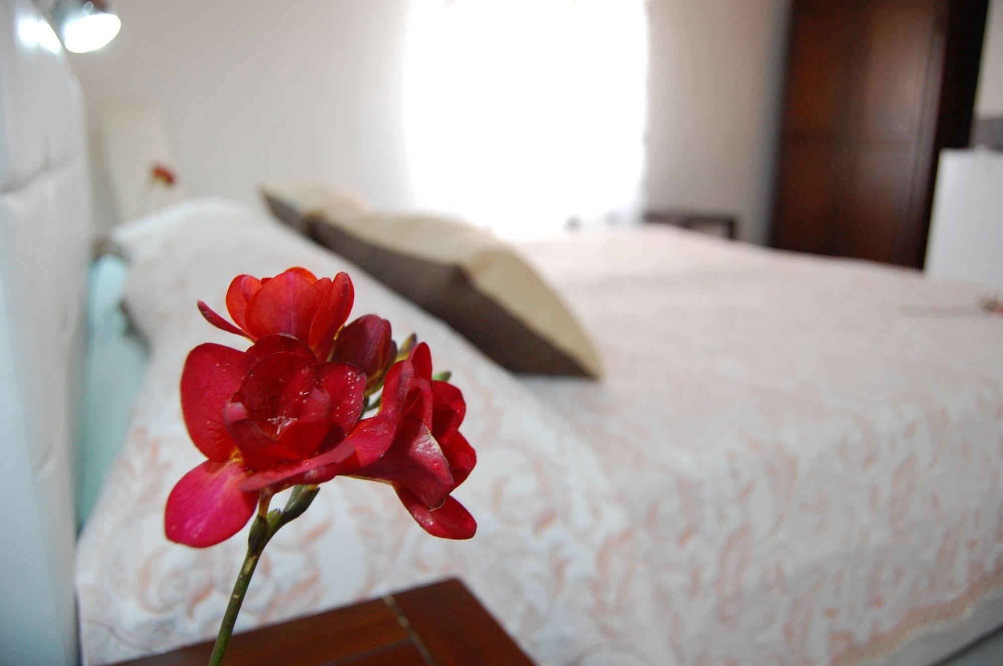 Bed and Breakfast Il Mirto E La Rosa Arenella  Exteriér fotografie